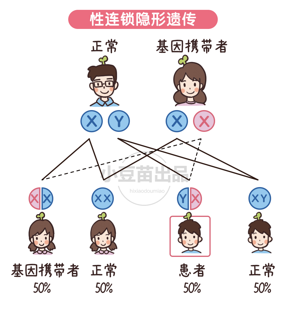 这5种病只传男不传女?一起看看有趣的遗传基因