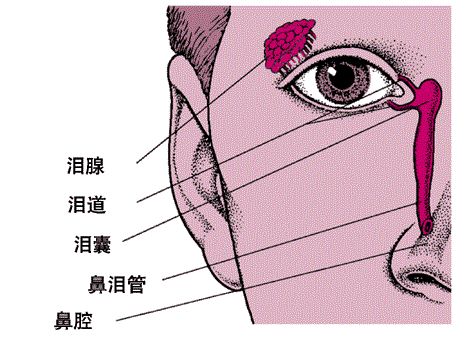 宝宝眼屎多能用奶水涂吗